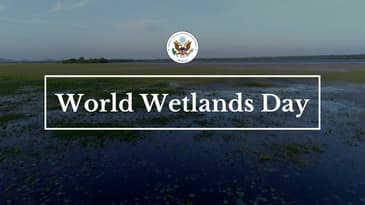 World Wetlands Day