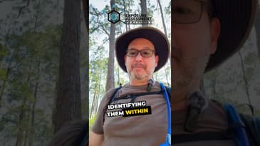 Microplastics: Concerns, Debates, and Unknown Health Impacts