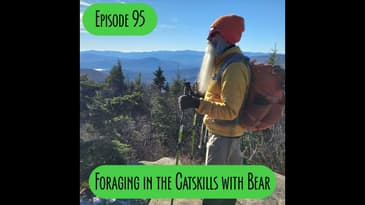 Episode 95 - Foraging in the Catskills with Bear