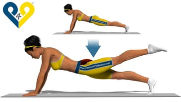 Leg Pull Down (Stabilization with leg raising)