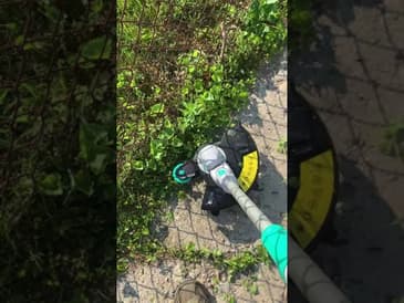 Litheli 20V 12" Cordless String Trimmer / Edger in action