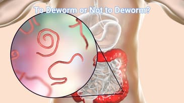 Parasites Cleanses: A Fad for PTs to Know About