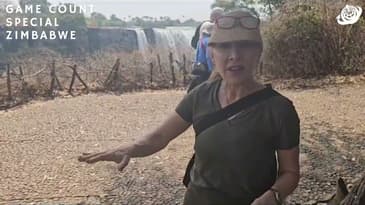 What To Expect At Victoria Falls! ( Part 2) Zimbabwe Game-Count Special with Globe Aware (2023)