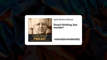 Smart thinking, boy wonder! | Ajahn Brahm Podcast