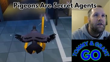 Pigeons Are Secret Agents | Pigeon Simulator