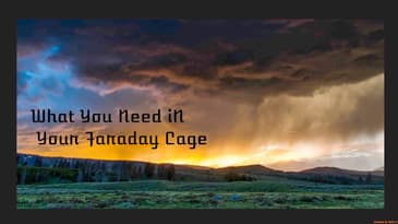 What Should You Keep In A Faraday Cage