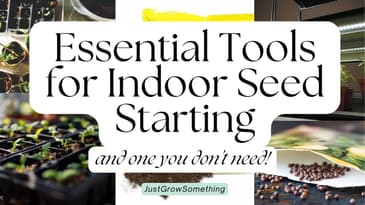 Essential Tools for Seed Starting - and one waste of money