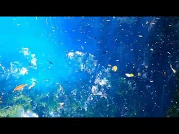 A CLOSER LOOK! Cenote by Globe Aware Mucuyche Project Site