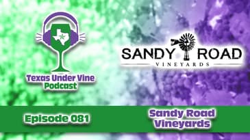 This Texas Winery Built A Treehouse! 🍷 Sandy Road Vineyards Tour