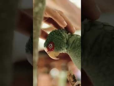 Guatemala Will Take Your Breath Away!