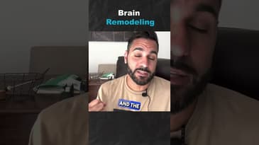 Brain Remodeling (Part 2)