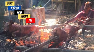 Cooking Litson Baboy In Manticao for Lechon Festival