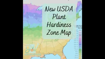Updated USDA Hardiness Zone Map - Ep. 172