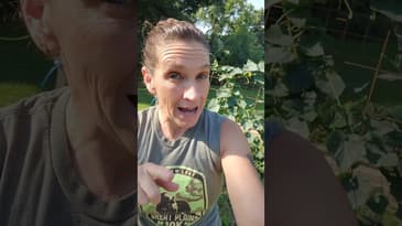 Grow your own, eat whole foods, move your body. #health #gardening