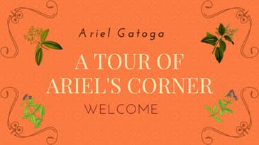 A Tour Of Ariel's Corner Courses in magick for all levels