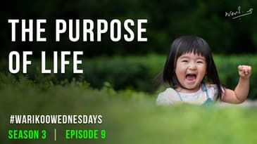 What is the purpose of a child? | #warikooWednesday S03E09 | Ankur Warikoo | Living in the moment