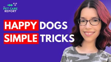 Transform Your Dog's Behavior with Shaping