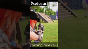 Use This When Weighed Down! #palworld