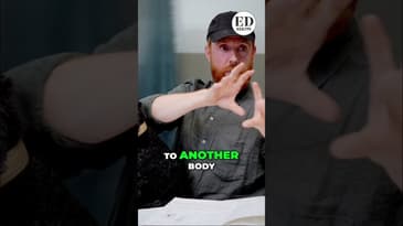 Food Web: How ALL Life is Just Trapped Sunlight! #shorts