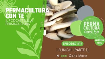 (EP14) I funghi (parte 1) – con Carlo Marin