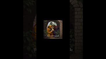 Theoria #shorts - 5/7  #philosophy #poetry #meaning #faith #jesus #theoria #introspection