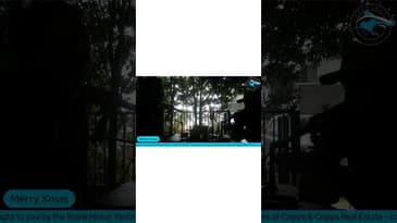 SHARKCAST: Have A Very Riccio Christmas! Live From Mr Paisely's Cafe (17/12/25)