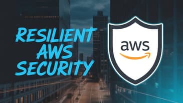 Government vs. Private Sector: Resilience Secrets Revealed!