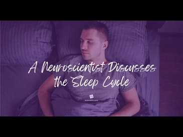 A Neuroscientist Discusses the Sleep Cycle
