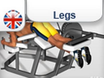 Hamstring exercises: Leg Curl Machine Exercise