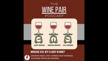 Minisode #20: WTF Does Body in Wine Mean?