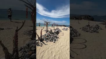 An island to oneself. #shorts #ilocostrip #philippineislands #travel #iloilo #islandhopping #follow