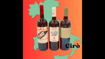 Italian Wine Adventure #7  Cirò!