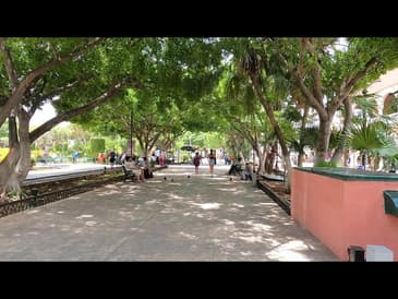 Lovely Walk Around Merida City - Globe Aware Mexico