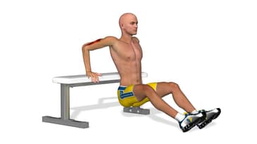 Esercizi per braccia toniche: Tricep bench dips