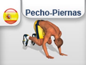 gimnasia ejercicios para pectorales - como sacar musculo pectoral Cuádricep