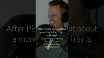 Stay in the Gray Podcast PREVIEW 2-18 - Koala picture #podcast #koala #podcastclips