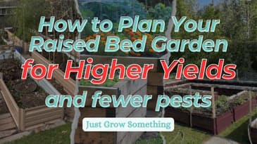 How to Plan a Raised Bed Garden for Maximum Yield - EP. 269