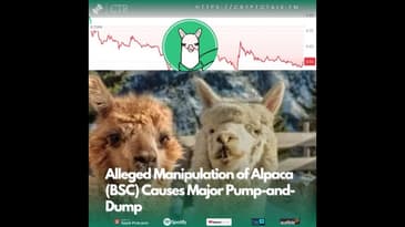 Alleged Manipulation of #Alpaca (BSC) Causes Major Pump-and-Dump (OOC)