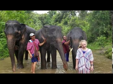 MICRO MOMENTS! An Elephant Surprise