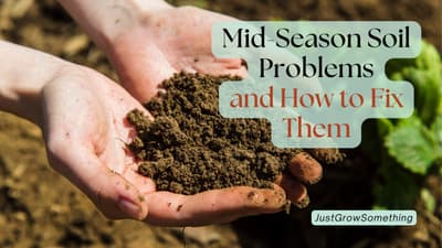 Soil Problems Mid-Season (and what to do about them) - Ep. 310