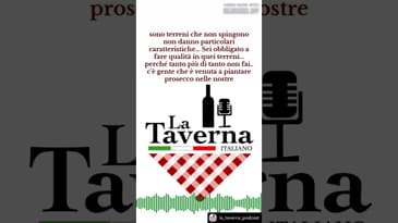 Nuova puntata con Giorgio Badin di Ronco del Gelso è disponibile!