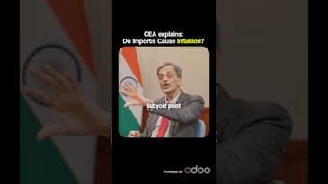 Do Imports Cause INFLATION?