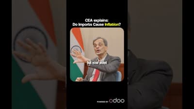 Do Imports Cause INFLATION?