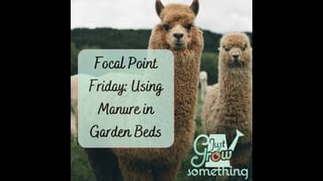 Focal Point Friday: Manure in the Garden