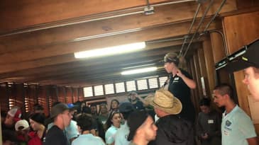 A LITTLE CHAOTIC BUT MEANINGFUL RESULTS!