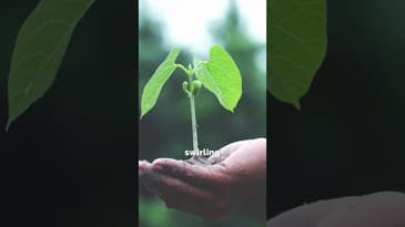 Appreciate Your Growth #friends