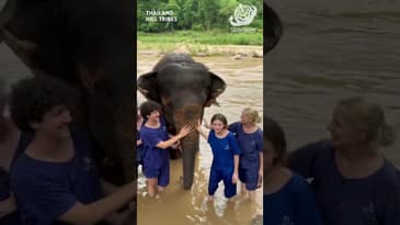 A family adventure to remember! Meeting Elephants! 🐘💚 Hill Tribes, Thailand with Globe Aware