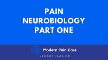 Pain Neurobiology 1
