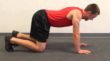 Bear Crawl Position