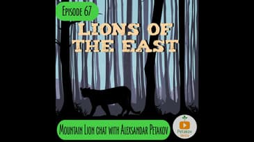 Episode 67 - Mountain Lions in the NE w/ Aleksandar Petakov